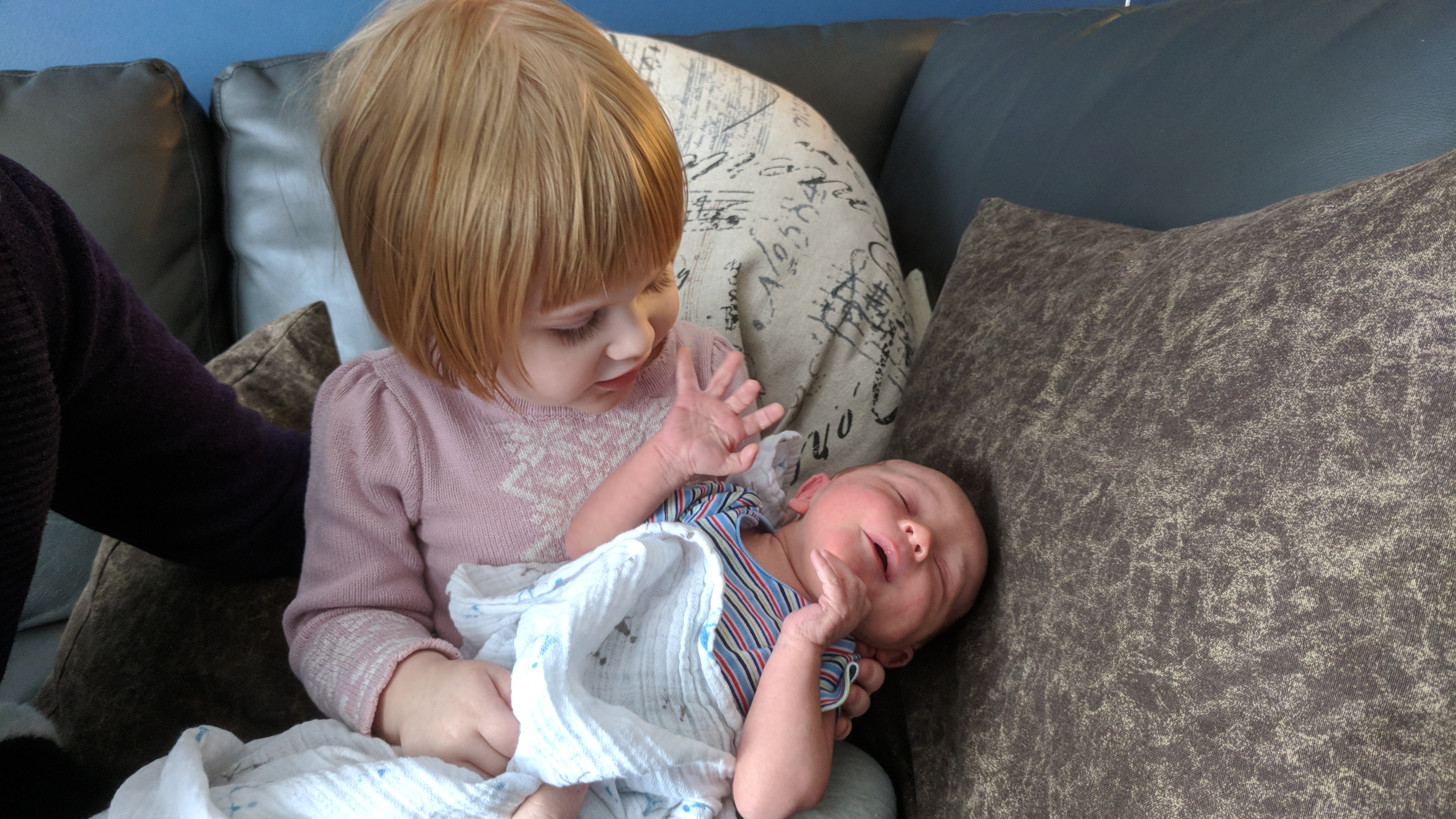 Meeting Dexter and Amelia